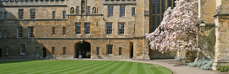 image of New College