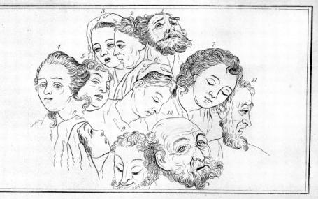 Physiognomy
