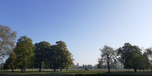 Christ Church Meadow 