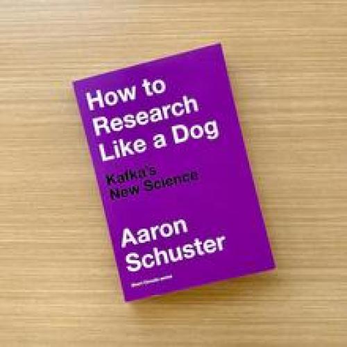 Book cover of Aaron Schuster - How to research like a dog
