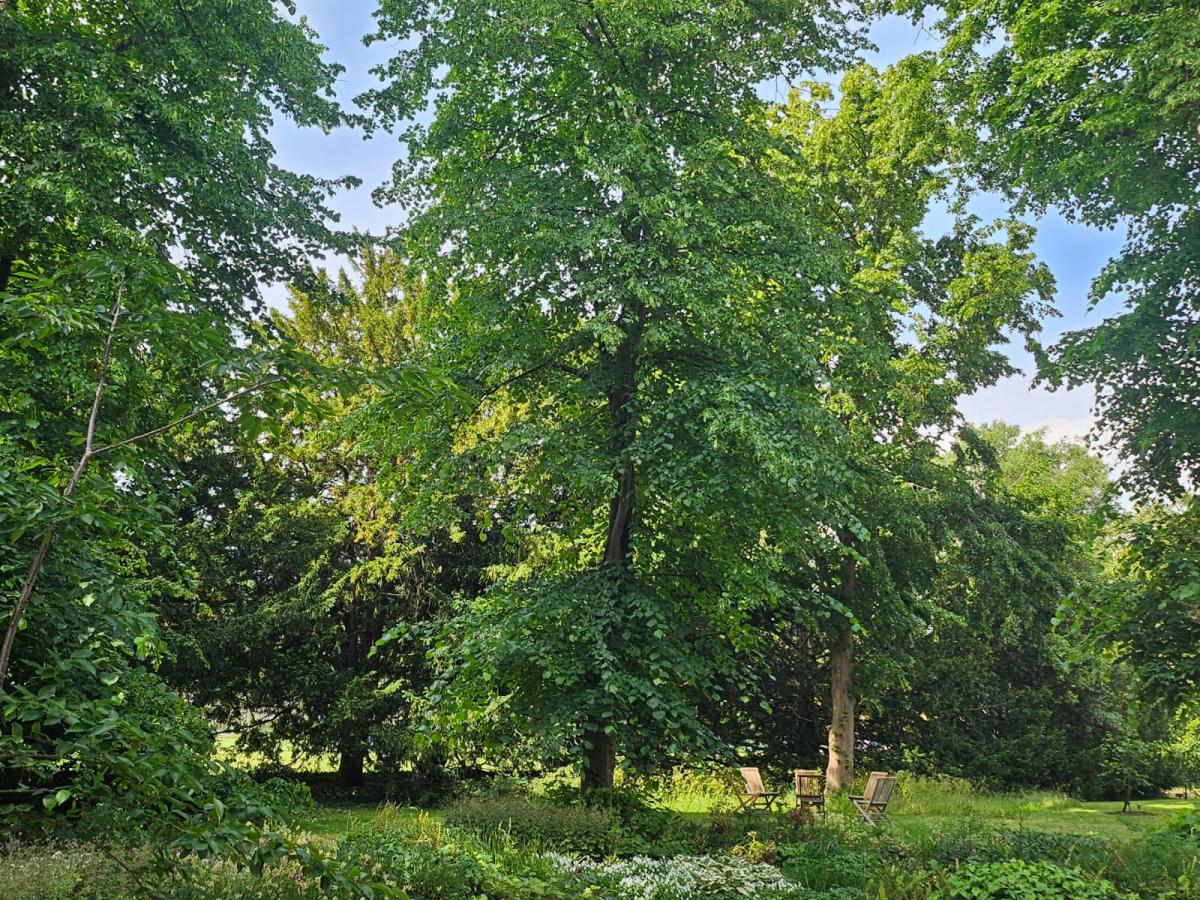 A photo of Trinity College Gardens
