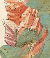 Manuscript