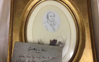 Ox Tay Hob 04 Goethe