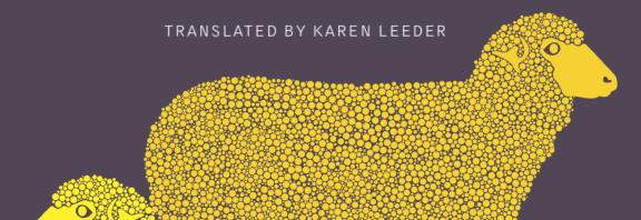 Book Cover of Sandig's shining sheep translated by Karen Leeder