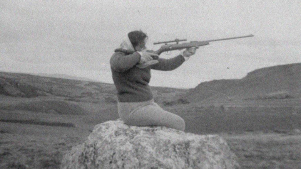 Gun Image