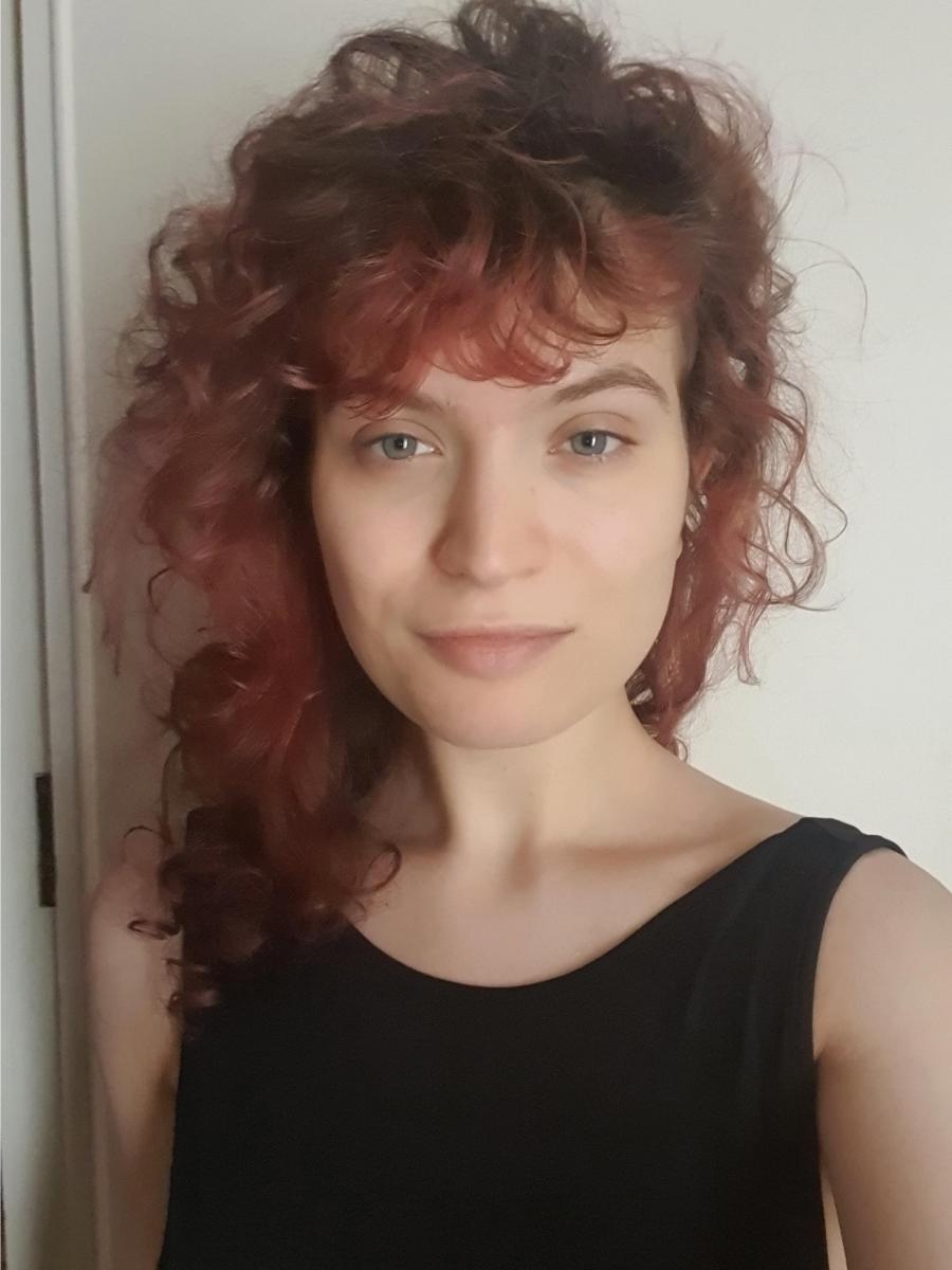 Society for french studies picture